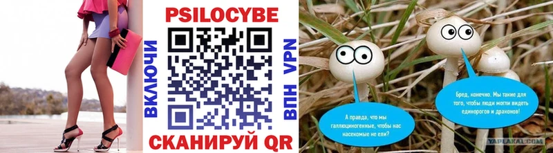 Псилоцибиновые грибы ЛСД  Купить где  Тамбов 