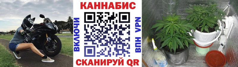 Конопля VHQ Купить закладки Тамбов